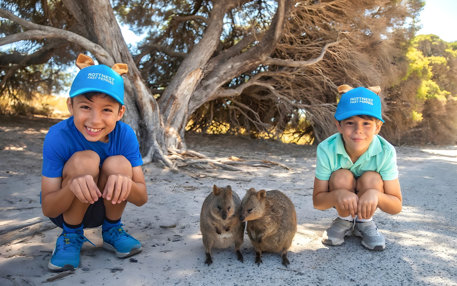 Rottnest Island Guided Bus Tour with Return Ferry