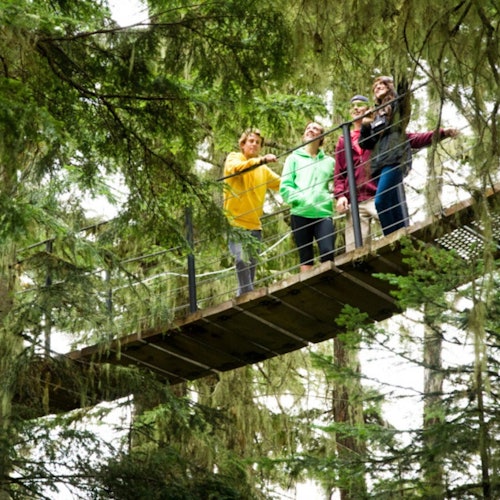 Whistler ZipTrek Ecotours: TreeTrek Adventure — gallery 1