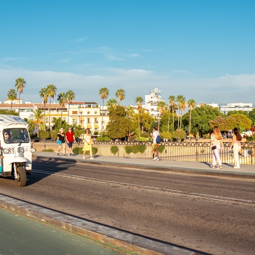 Seville: 2-Hour Tour by Private Electric Tuk Tuk — gallery 1