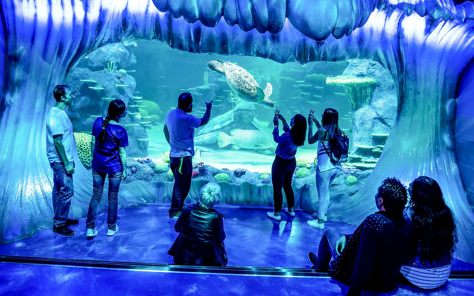 [Save upto 55%] Sydney 4 Attractions Pass