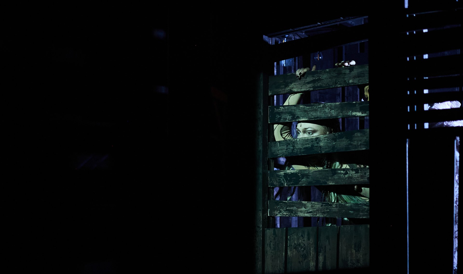 Dark of the Moon — photo 6