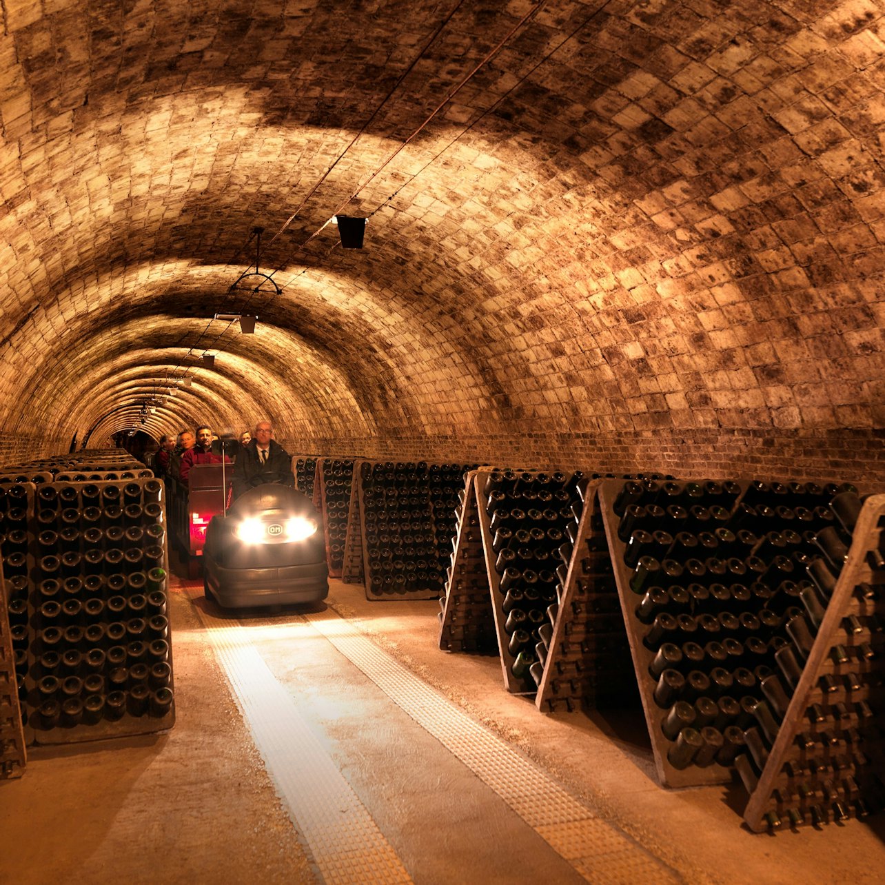 Codorníu Winery: Guided Tour + Cava Tasting