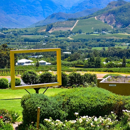 Cape Town: Private 3 Wine Regions Tour + Hotel Transfer — gallery 3