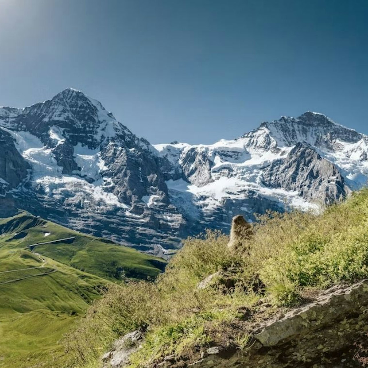 Jungfraujoch: Roundtrip Train from Grindelwald