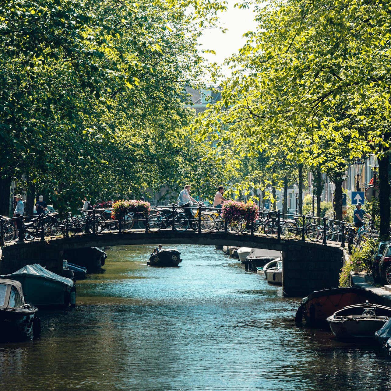 Amsterdam: Highlights & Hidden Gems E-bike Tour — gallery 2