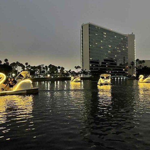 Long Beach: Swan Boat Rental at Rainbow Lagoon — gallery 1
