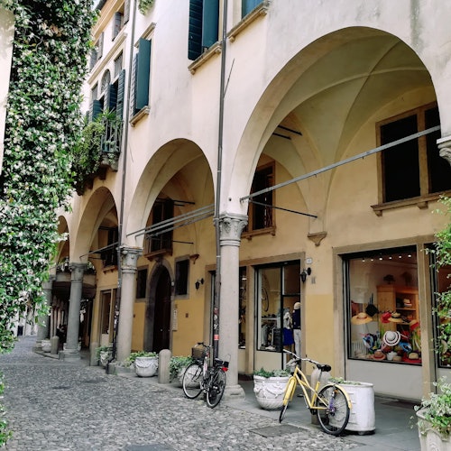 Padua: Guided Tour + Train Transfers from Venice + Botanical Garden Entry — gallery 2