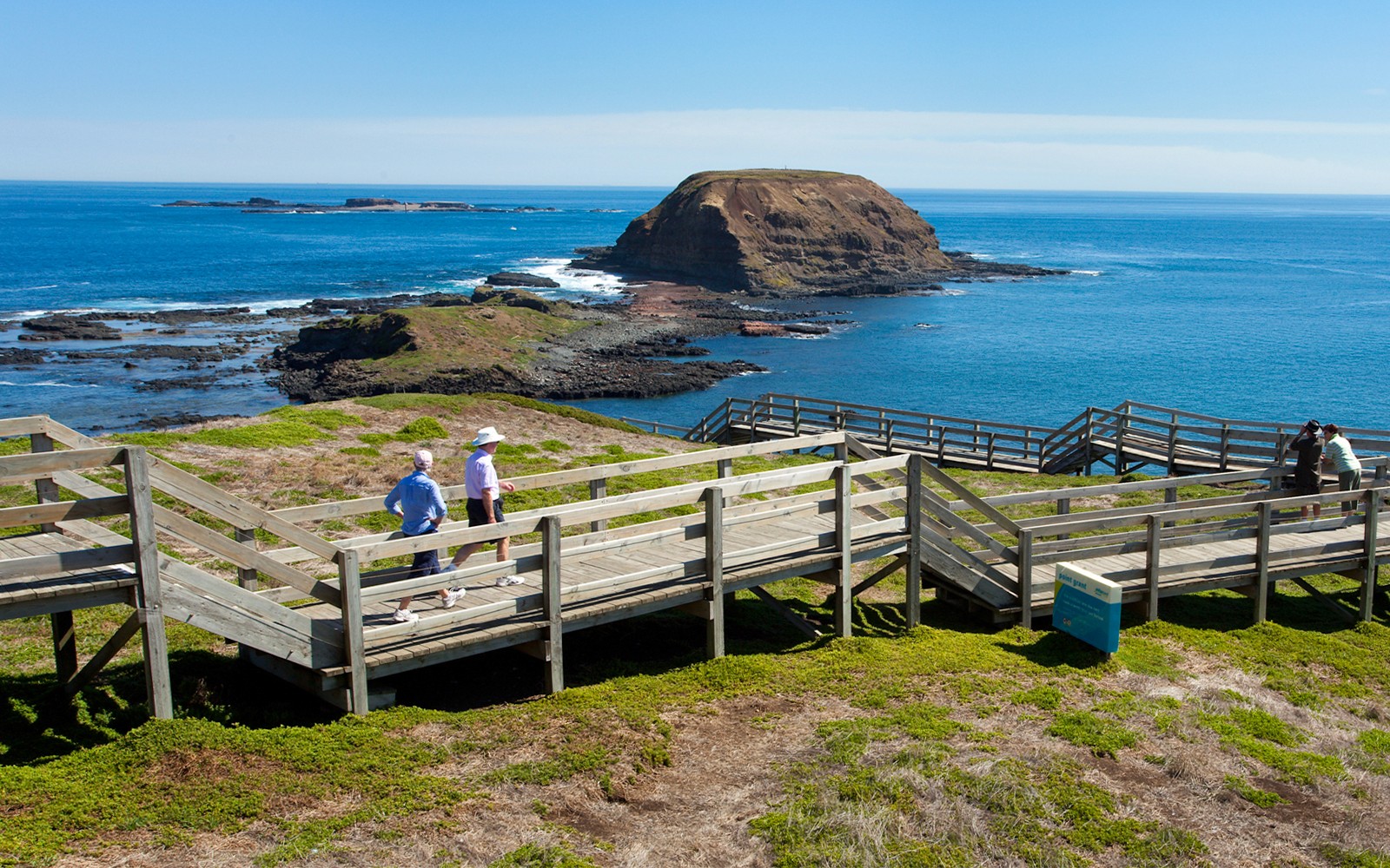 From Melbourne: Phillip Island Penguin Parade Afternoon Guided Tour