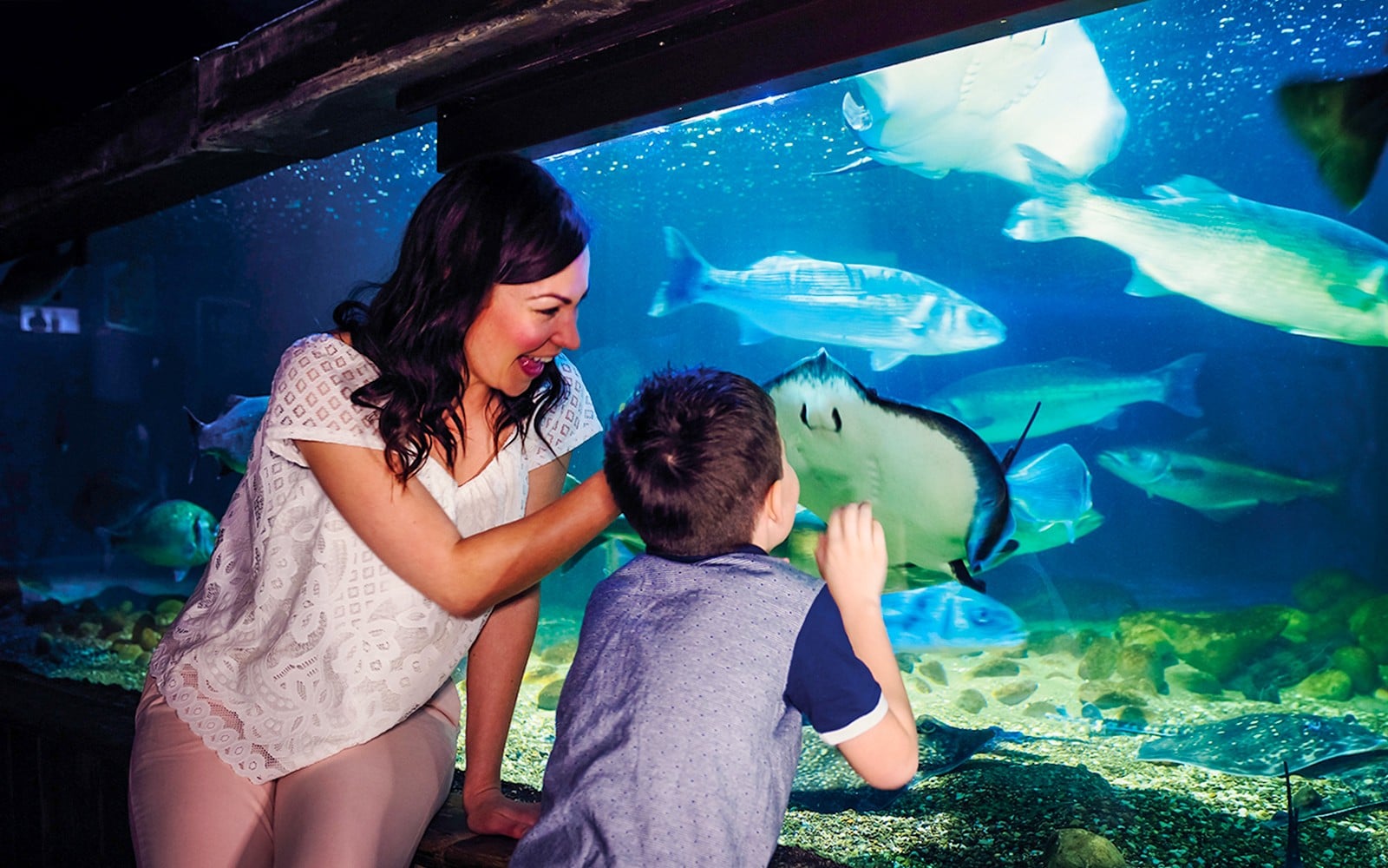 SEA LIFE London Aquarium: Anytime Entry Tickets — mobile