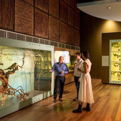 National Wine Centre of Australia: Australian Wine Guided Tour — gallery 2