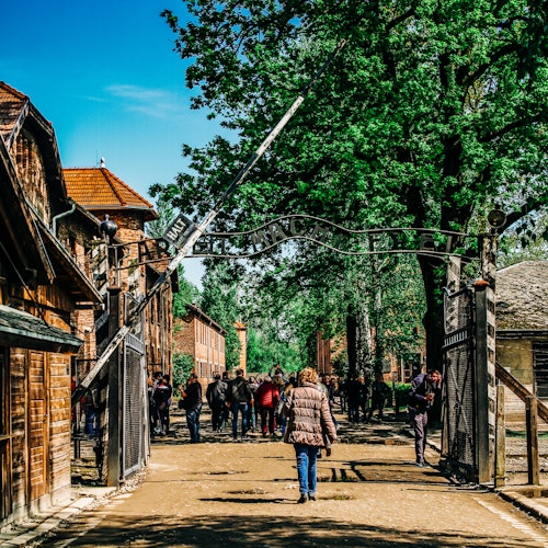 Auschwitz-Birkenau: Guided Tour + Transfers