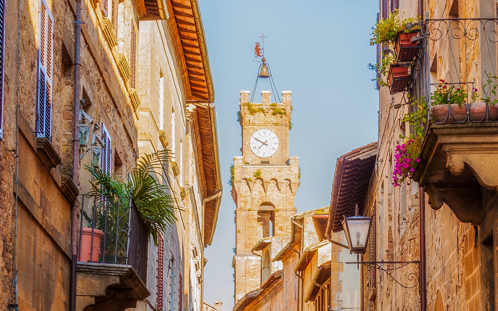 Full-Day Tour of Val D’Orcia — gallery 3