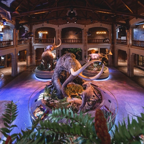 Toledo Zoo & Aquarium: Entry Ticket — gallery 3
