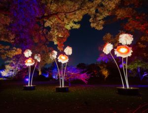 Lightscape Brooklyn — gallery 1