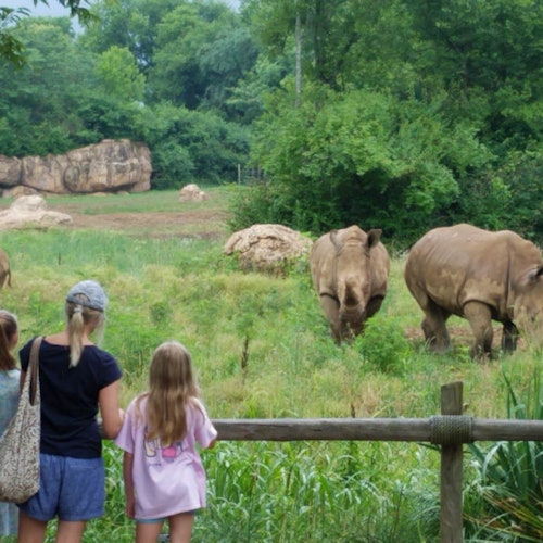 Amnéville Zoo: Eintritt mit Schnelleinlass — gallery 4