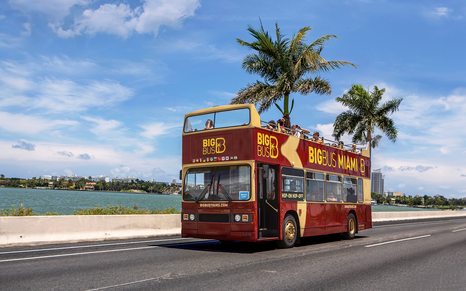 Combo (Save 30%): Miami Bus Tour + Millionaire's Row Cruise Tickets — gallery 3