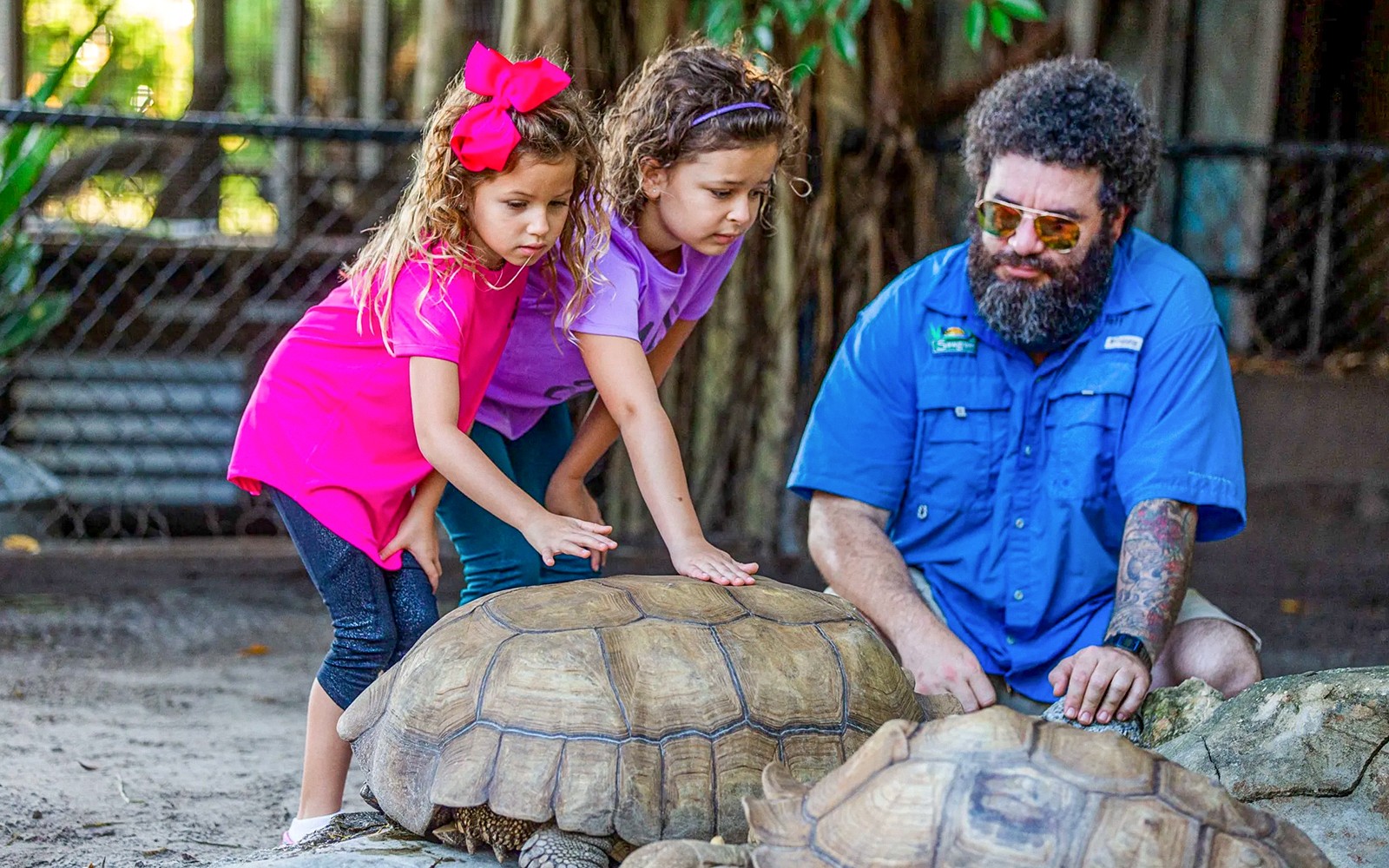 Miami: Everglades Airboat Tour with Reptile Exhibit & Optional Transportation — gallery 3