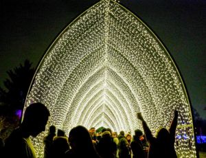 Lightscape Brooklyn — gallery 4