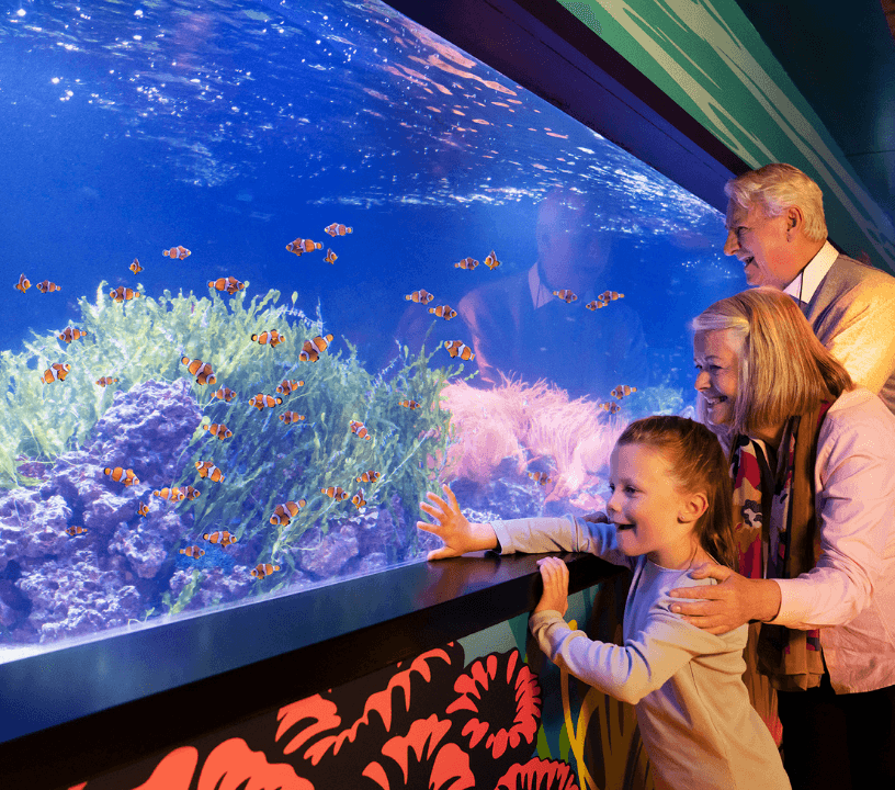 Sea Life London Aquarium Tickets — gallery 4