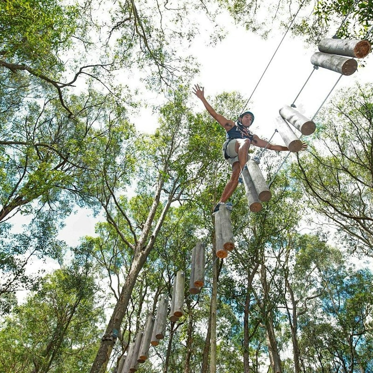 Western Sydney: Treetops Adventure