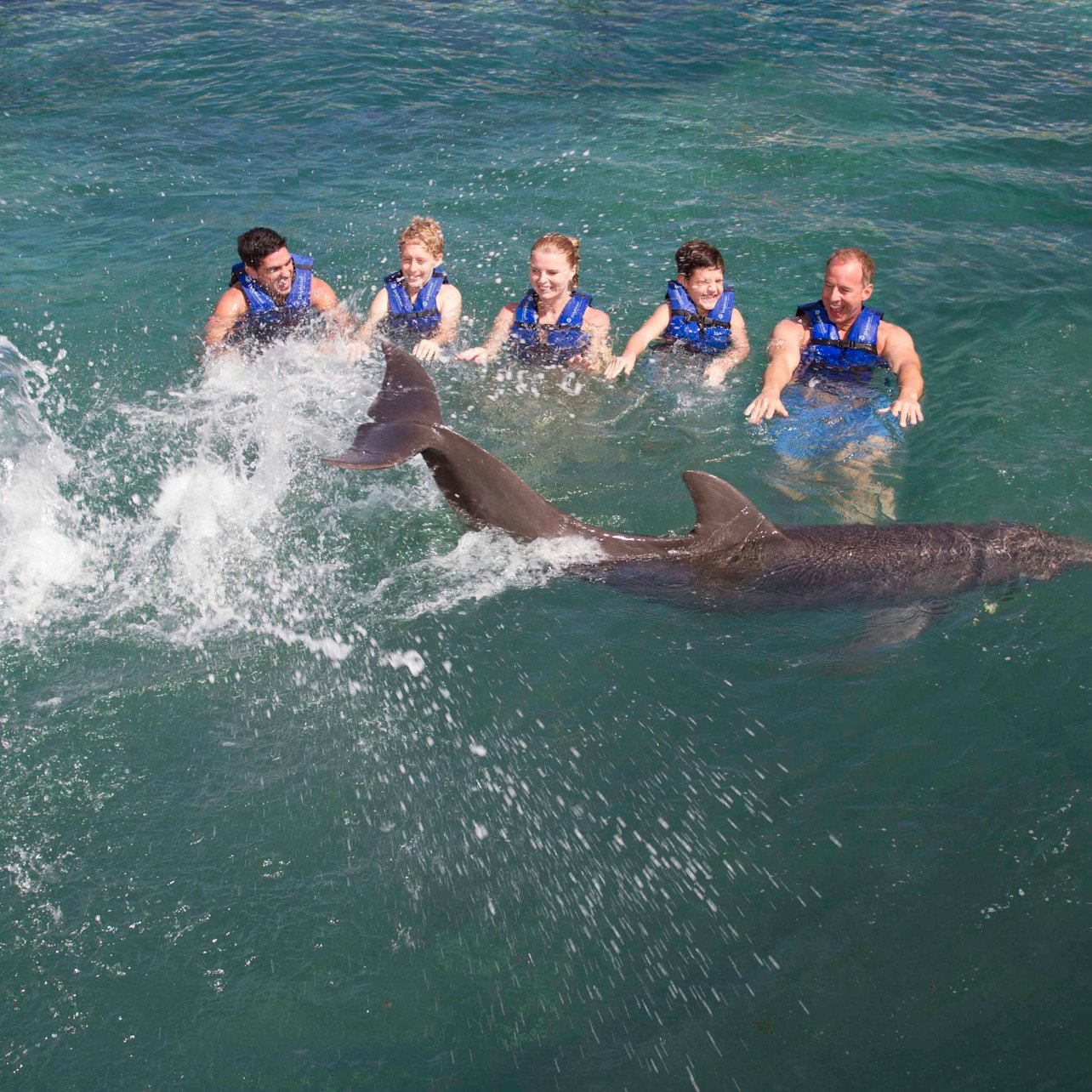 Delphinus Xcaret: Swim with Dolphins