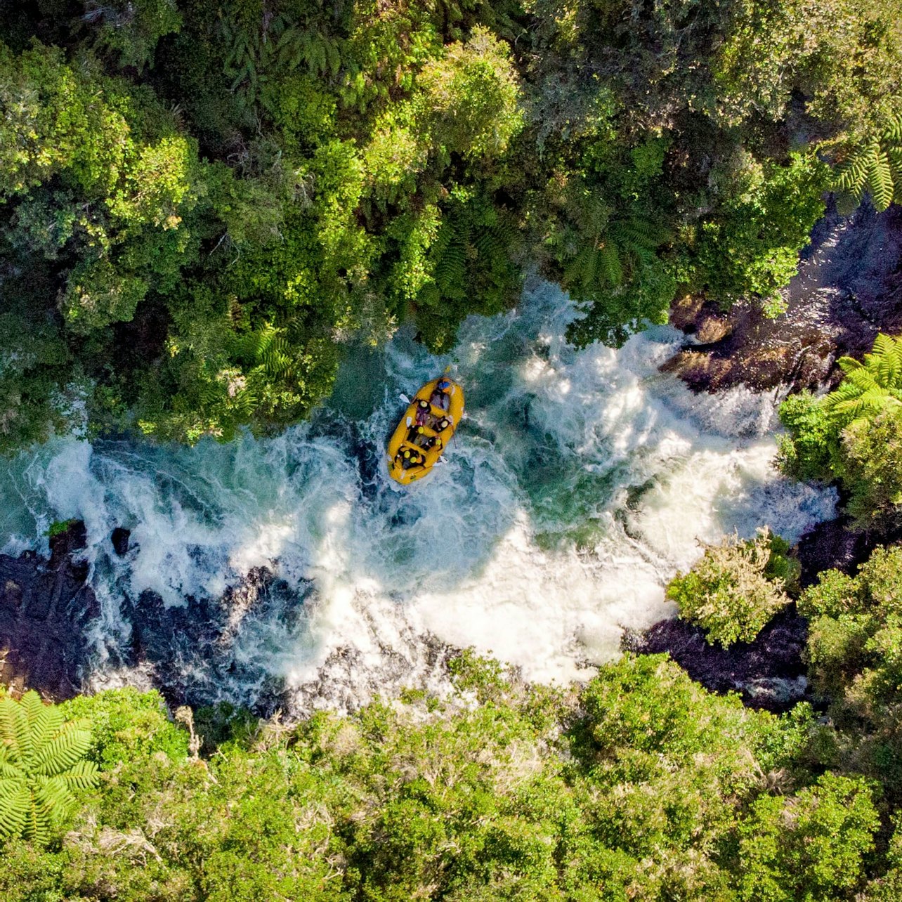 Kaituna River: Grade 5 White Water Rafting
