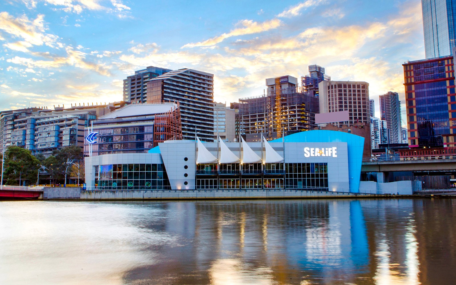 Shark Dive Xtreme Tickets at SEA LIFE Melbourne Aquarium