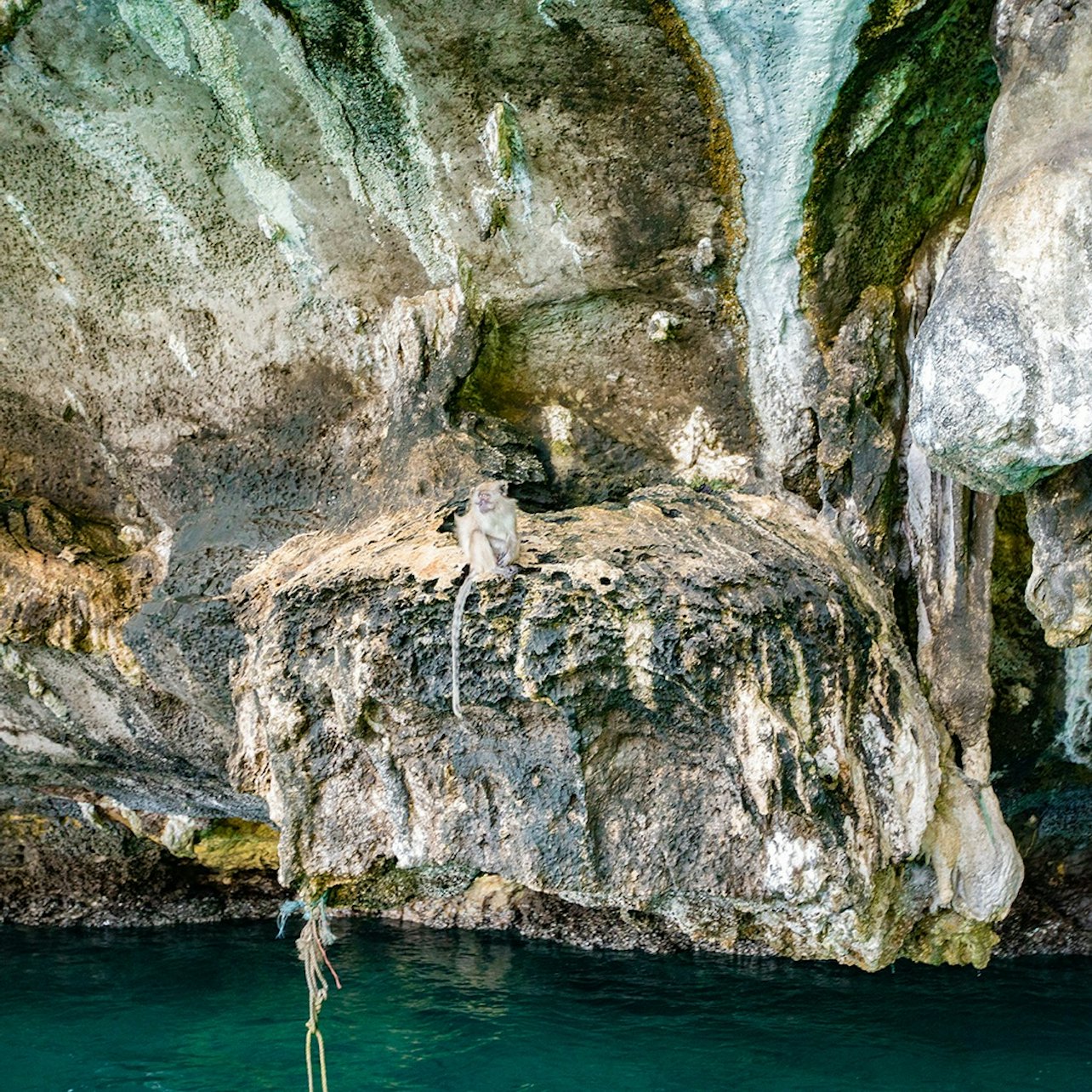 Phi Phi: Half-Day Snorkeling Trip by Longtail Boat