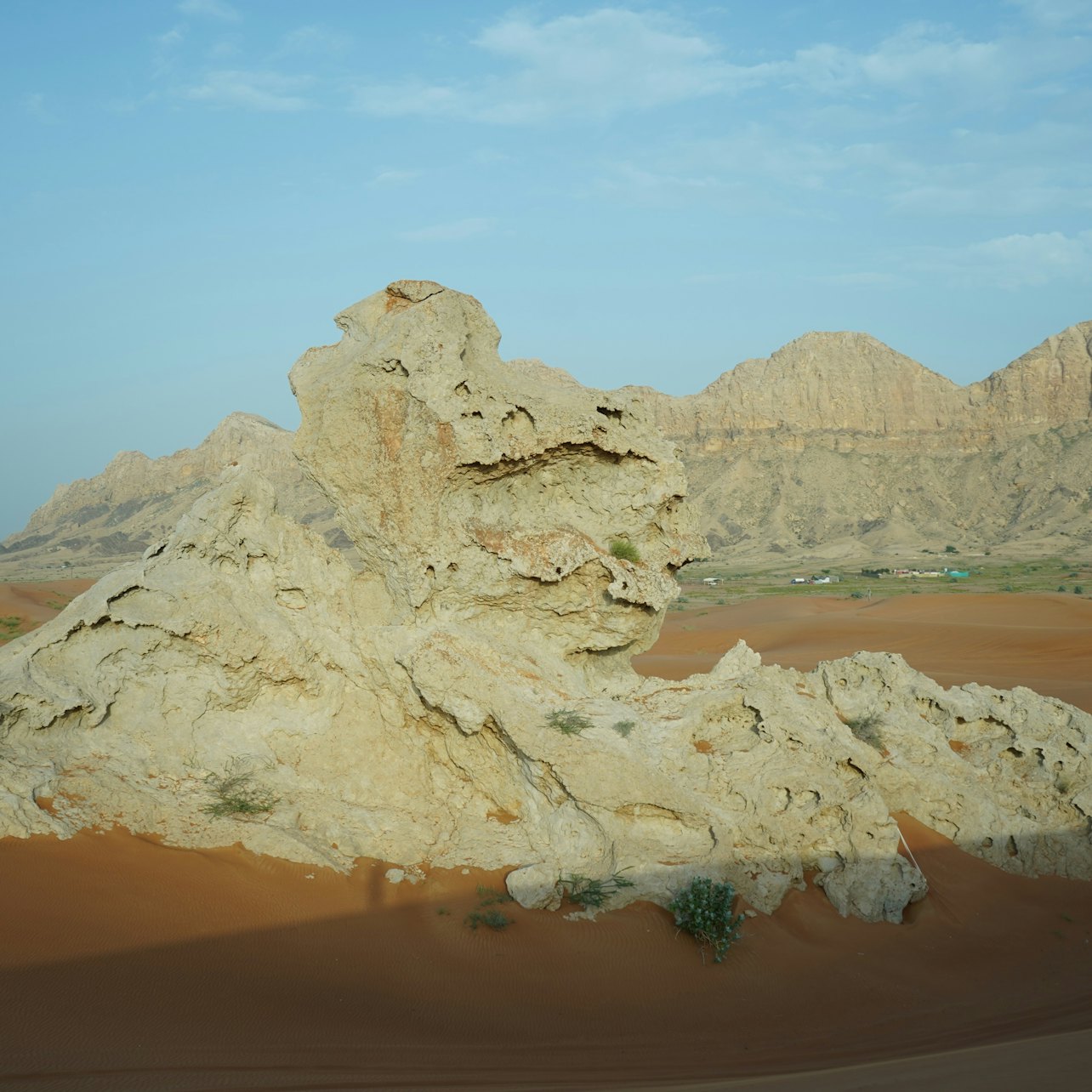 Sharjah: Dune Buggy Experience + Dinner