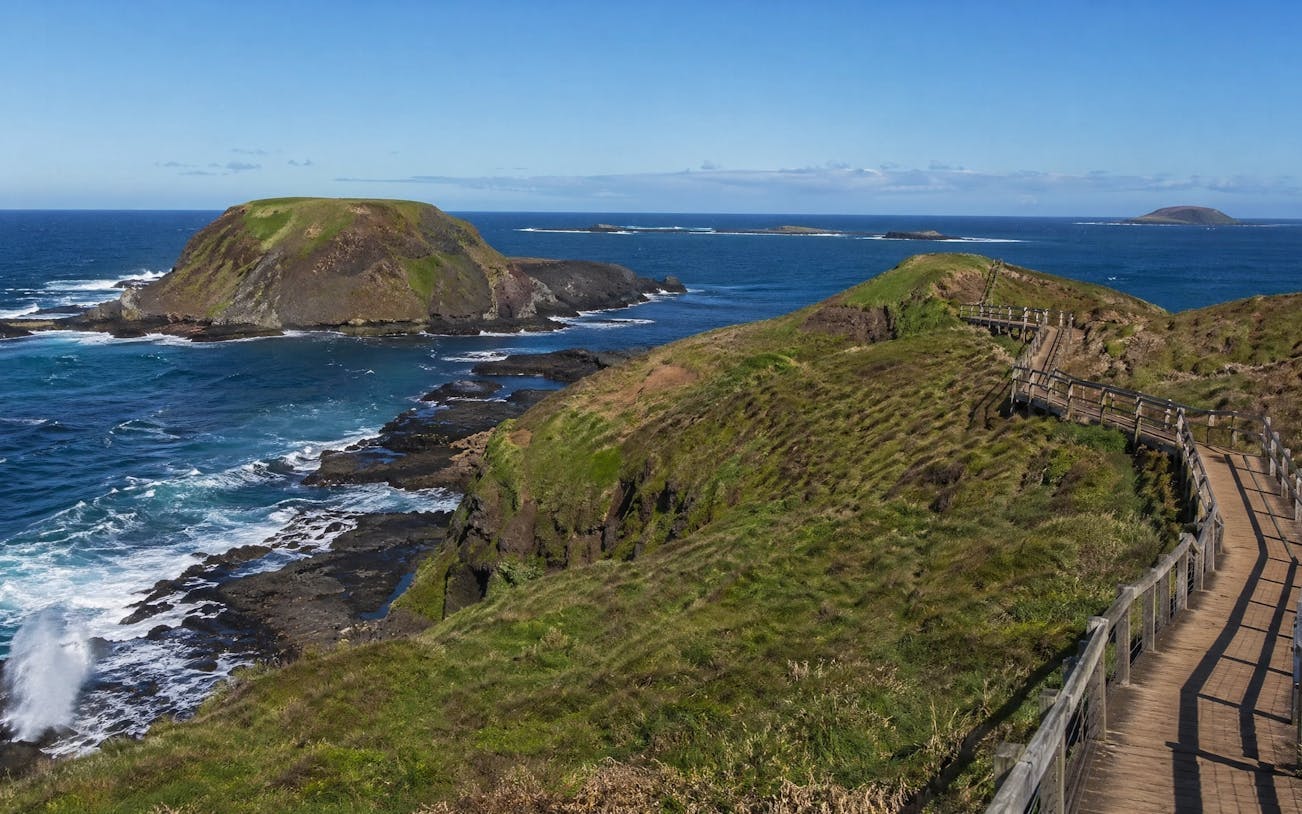 Philip Island — Penguin Parade Private Tour