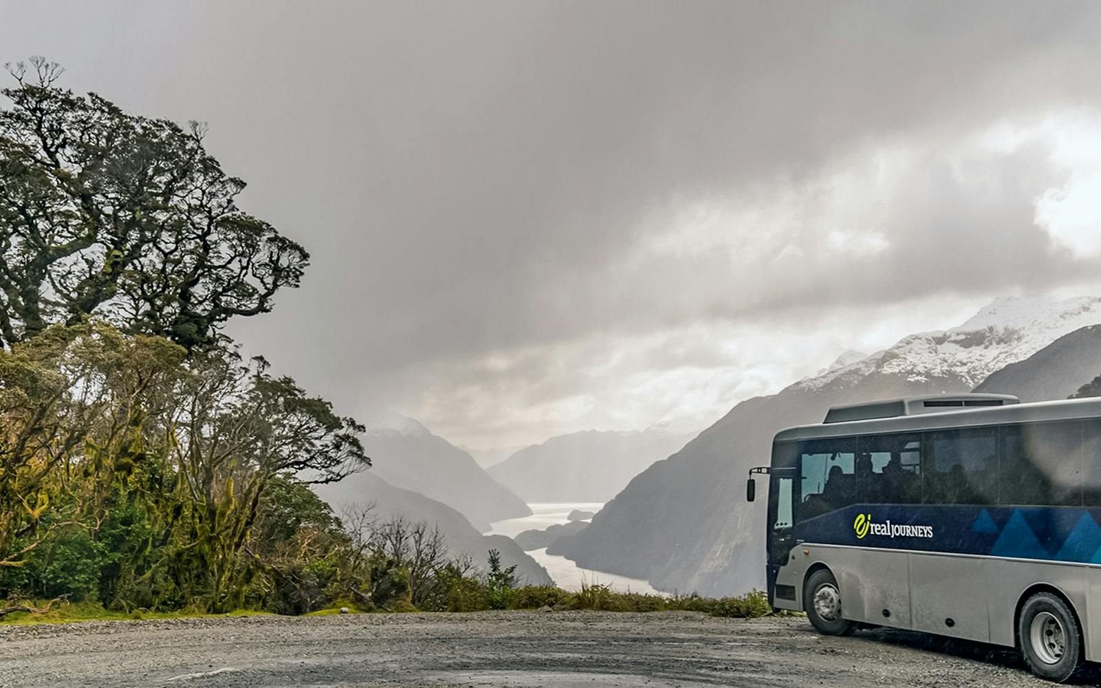 From Te Anau: Doubtful Sound Overnight Cruise
