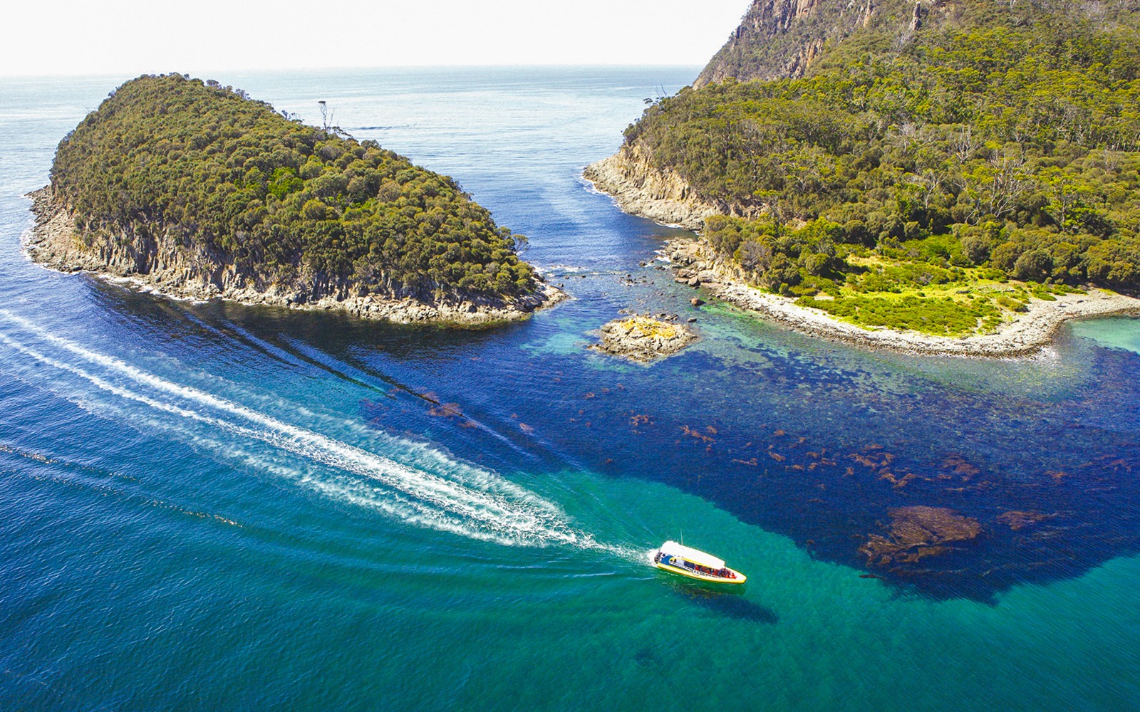 Bruny Island Wilderness Cruise