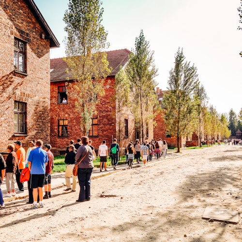 Auschwitz-Birkenau: Guided Tour + Transfers