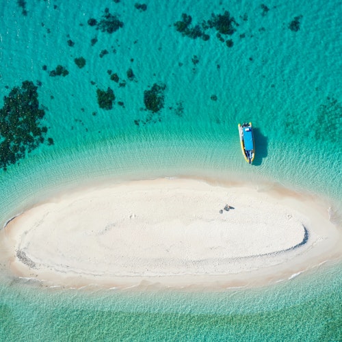 Ocean Safari Great Barrier Reef Tour from Cape Tribulation — gallery 2