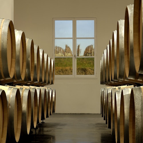 Médoc: Full-Day Wine Tour from Bordeaux