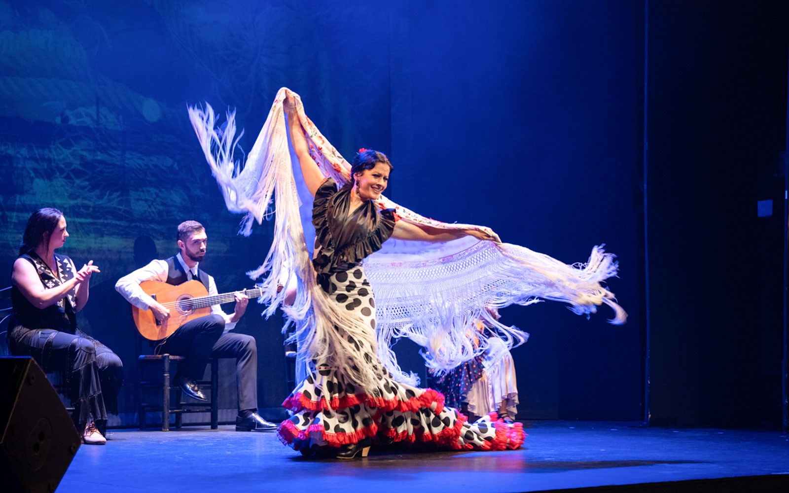Teatro Flamenco Barcelona - Inspiration Show — gallery 2