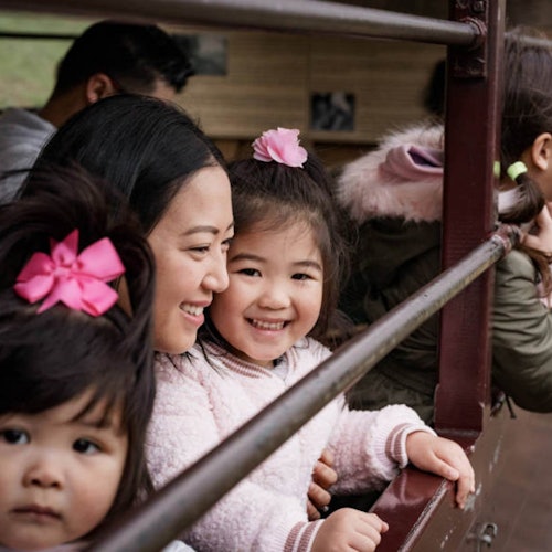 Puffing Billy Steam Train: Belgrave to Gembrook Return Ticket — gallery 1