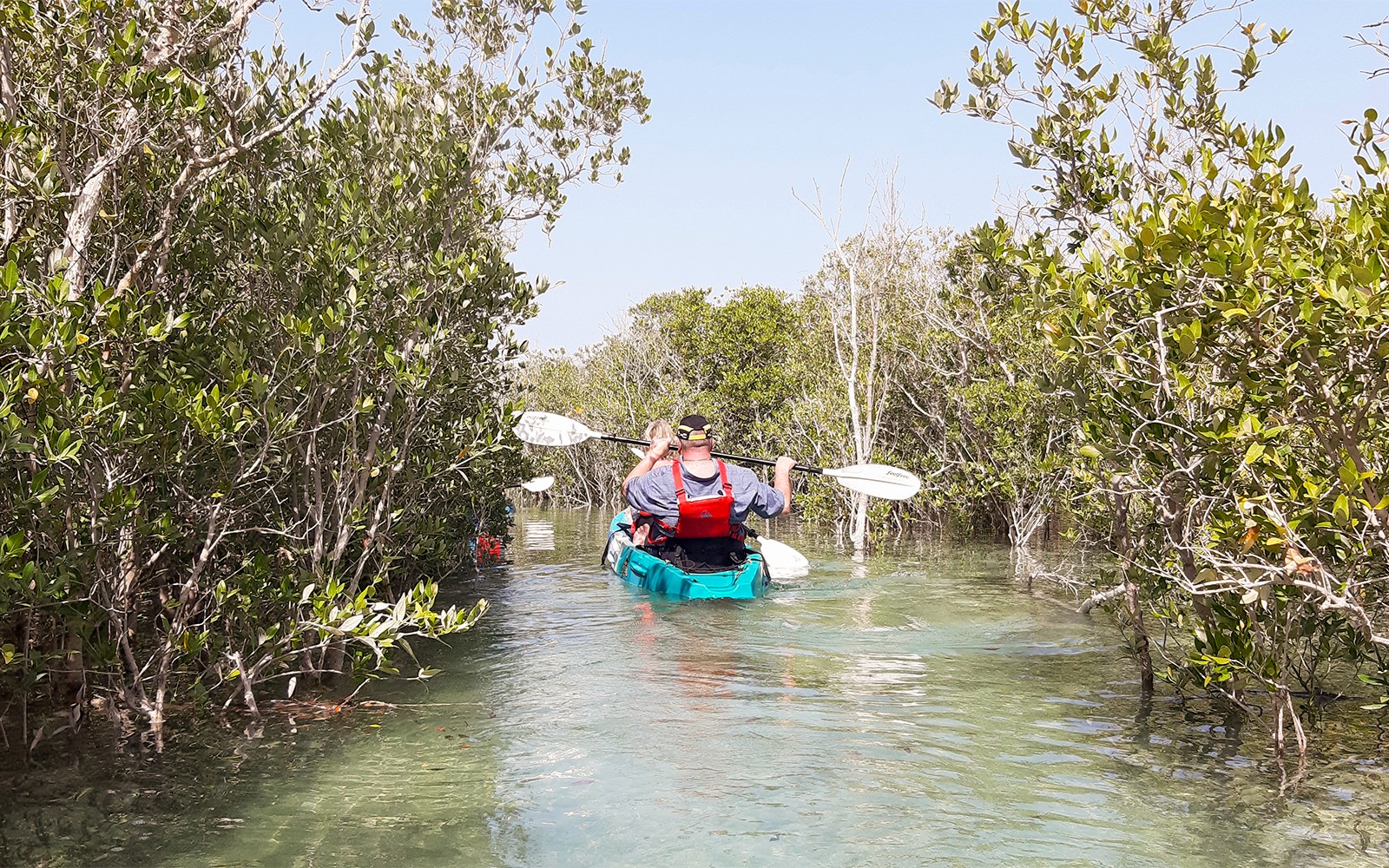Tickets to Mangrove Kayaking in Abu Dhabi — gallery 1