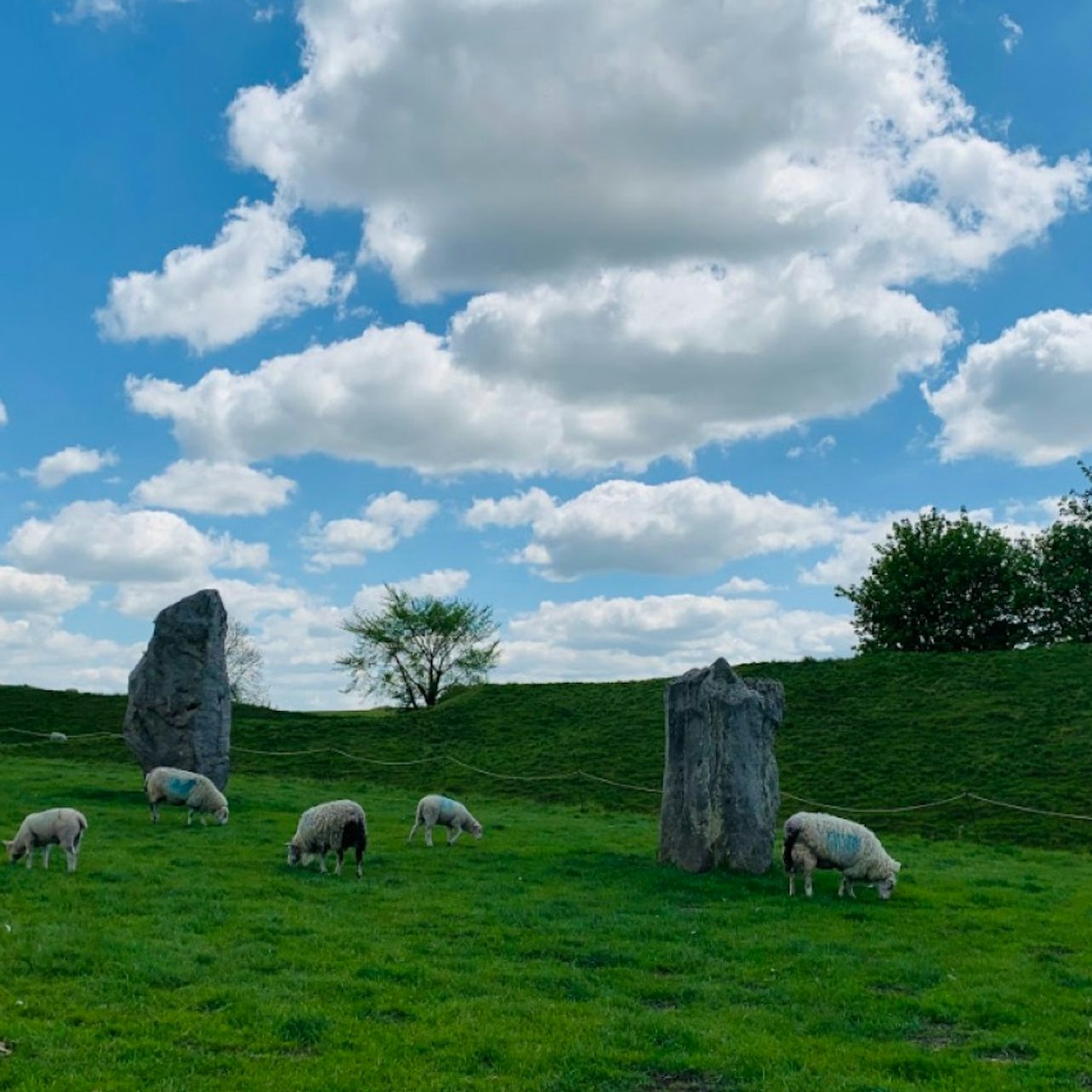 Stonehenge & Stone Circles of Avebury: Guided Day Trip from London