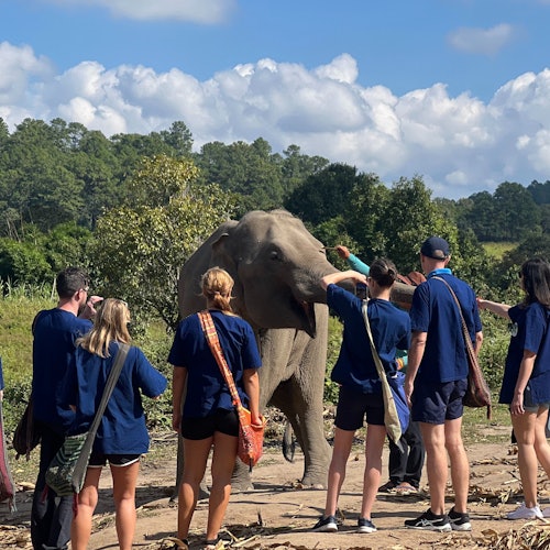 Chiang Mai: Elephant Sanctuary + ATV Adventure — gallery 1