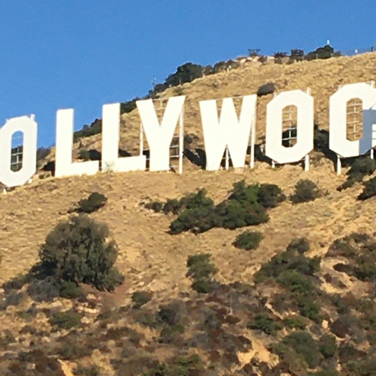 Los Angeles: Guided City Tour with Hollywood & Beverly Hills — gallery 3