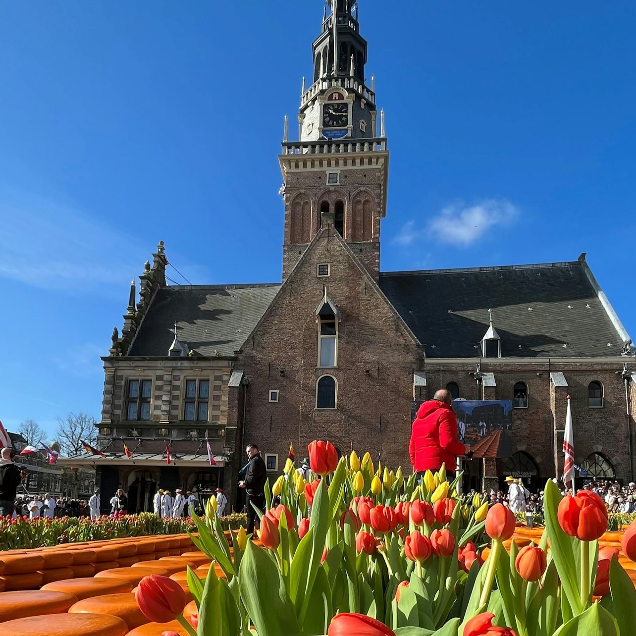 Day Trips from Amsterdam
