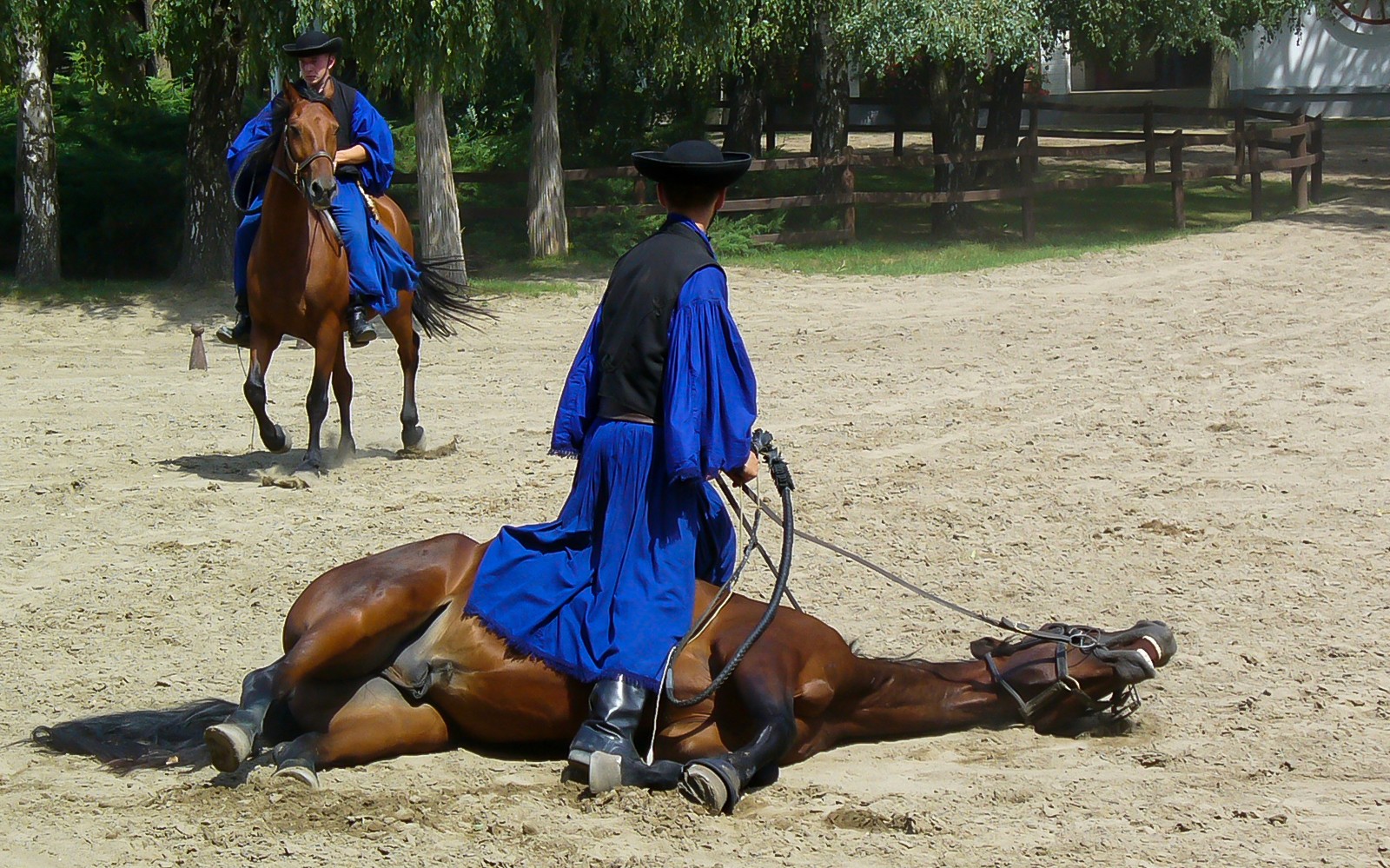 From Budapest: Kecskemet with Traditional Horse Show Day Trip — gallery 4