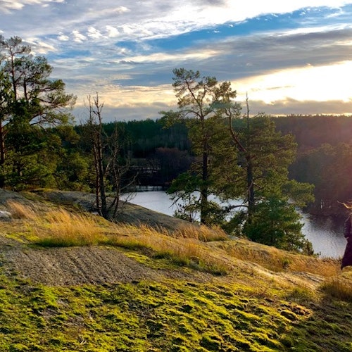 Stockholm: Nature Reserve Hiking Tour + Campfire Lunch + Roundtrip Transport — gallery 4