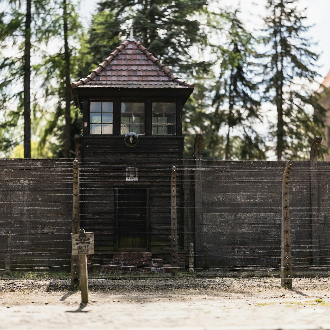 Auschwitz-Birkenau: One-Way Shuttle to/from Krakow