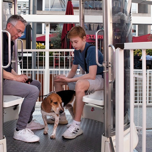 La Grande Roue de Montréal: Ferris Wheel Entry Ticket — gallery 4