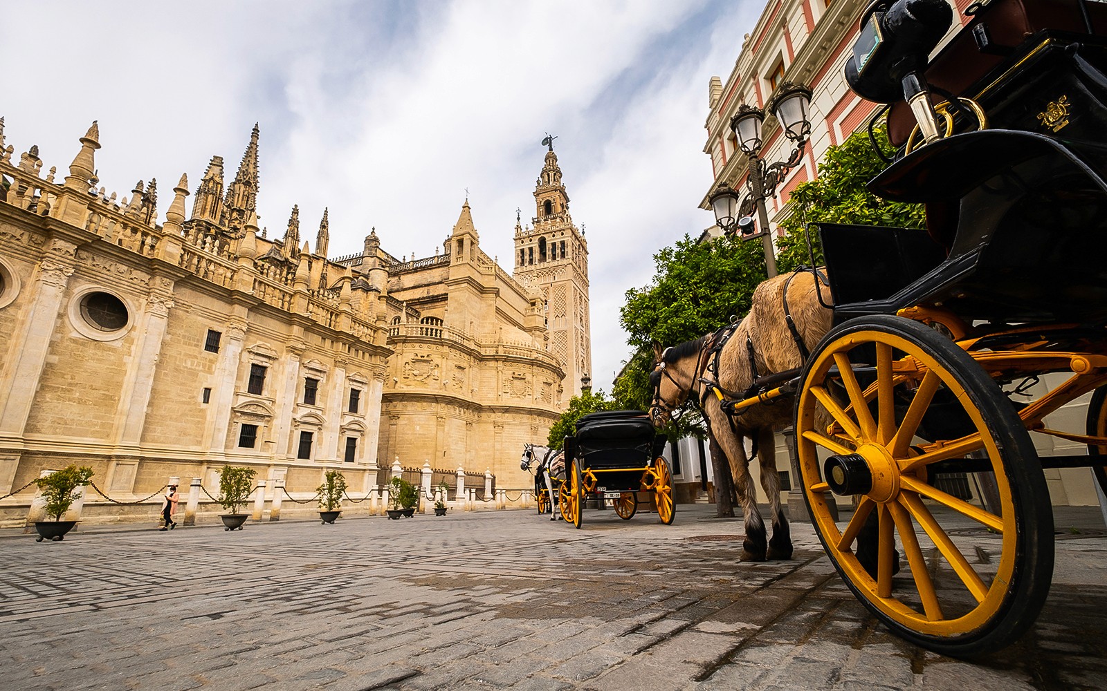Guided Monumental Walking Tour in Seville — gallery 3