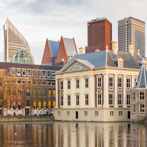 The Mauritshuis Museum: Entry Ticket — gallery 2