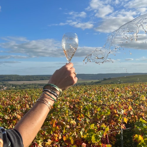 Sancerre: Wine Tastings + Lunch from Paris