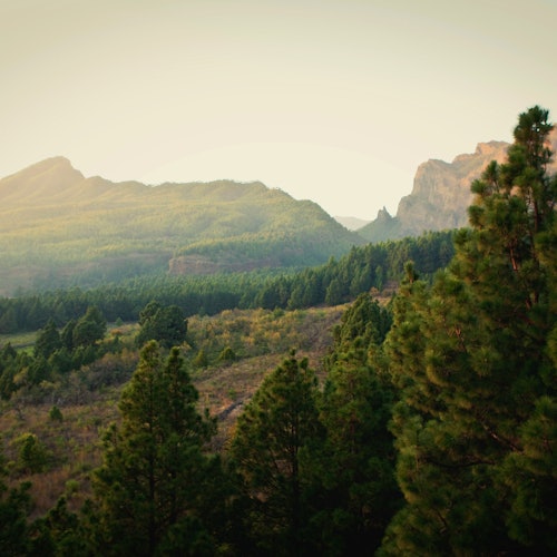 La Palma: Small Group Guided Day Tour from Tenerife + Lunch + Boat Ride